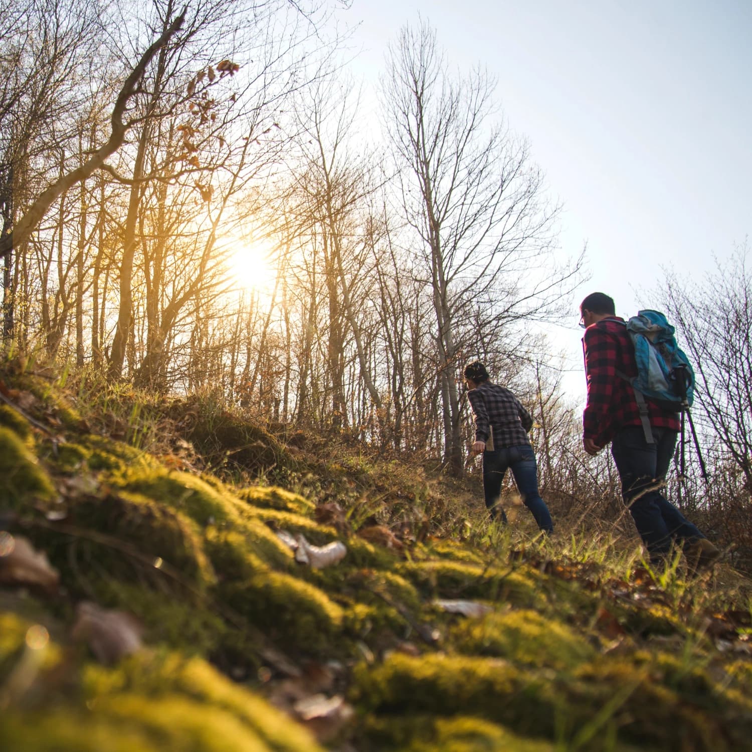 Hiking Webp