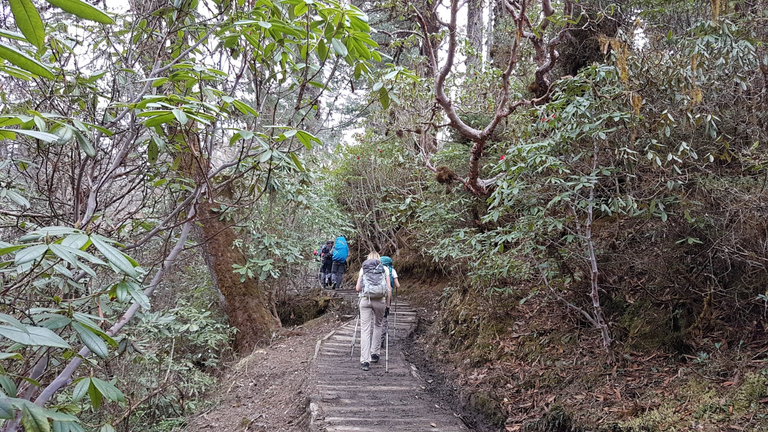 Blog 1