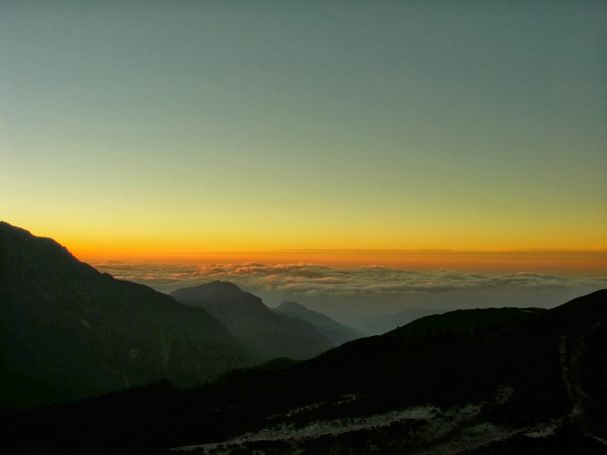 Blog 1