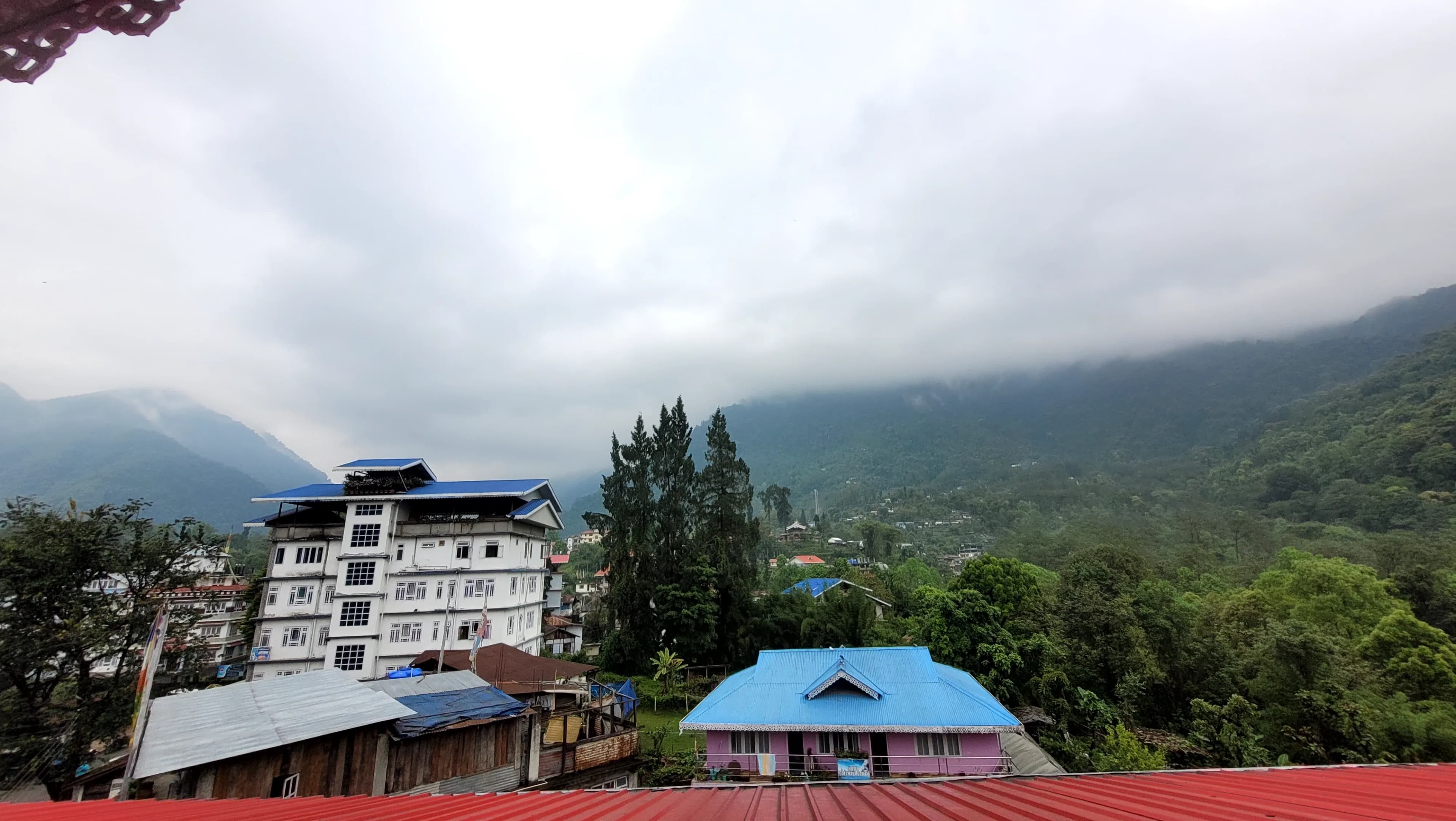 Blog 1