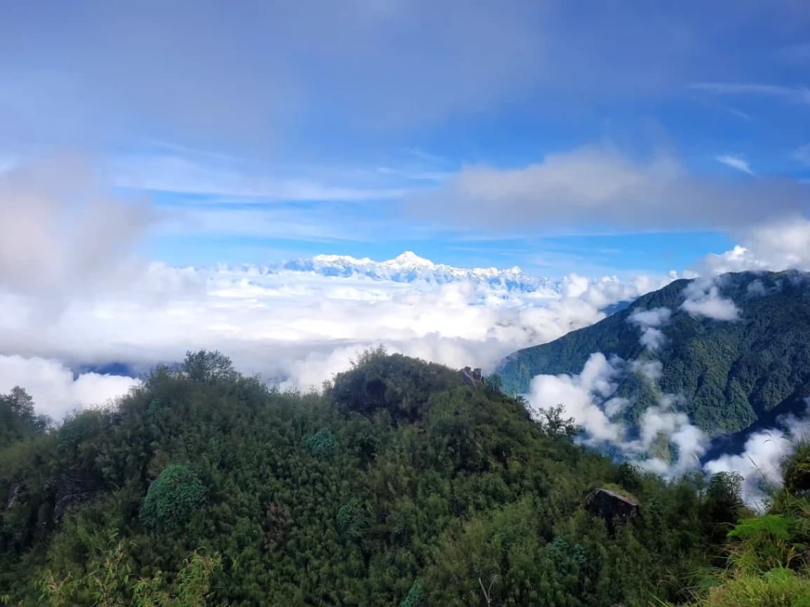 Zuluk