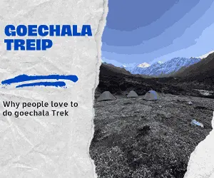 goechala trek